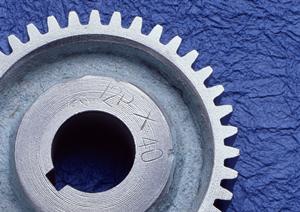 いろいろな種類のエロフィンがあります